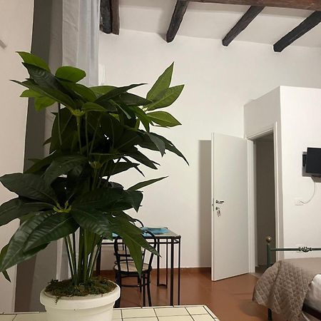 Il Portale 2 Leilighet Tropea Eksteriør bilde